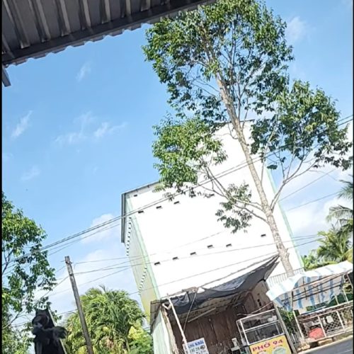 nhà yến tiền chế 160m2 400 triệu anh tài hậu giang