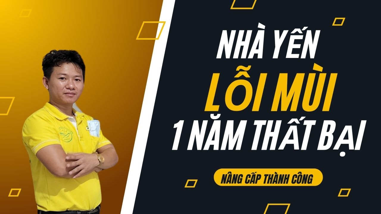 Nhà yến lỗi mùi môi trường 1 năm và được nhà yến pvnest nâng cấp thành công